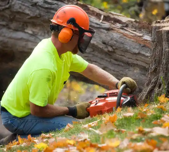 tree services Plainview